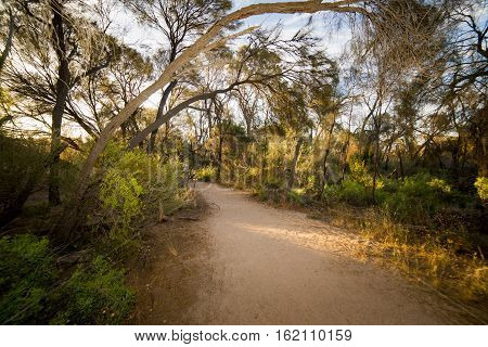 Path through Wave Rock Hyden Western Australia sunset scene .