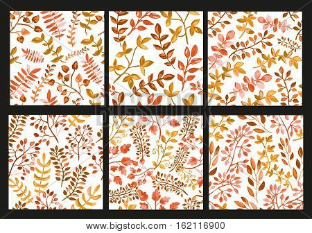 Floral Seamless Patterns Set