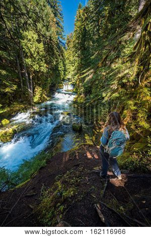 Tourist Backpacker Looking At Mckenzie River Down From Sahalie Falls Oregon
