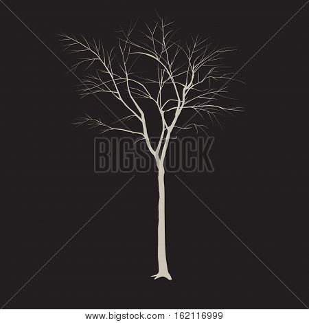 Tree Trunk Without Leaves