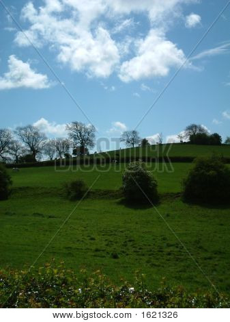Country Side 