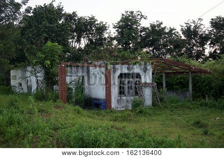 The abandoned house inhabited forest occurs the placental opacity