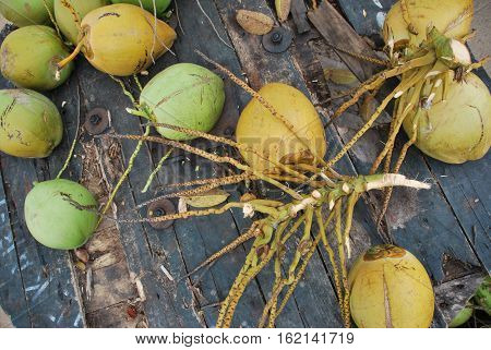 Coconuts in Langkawi. Sweet and wild fruit. Malaysia