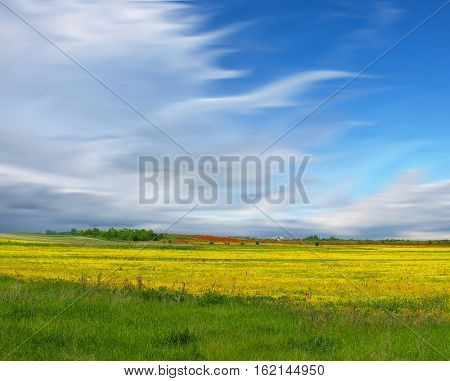 field of rapeseed with beautiful cloud - plant for green energy