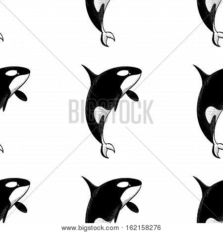 Grampus killer whale seamless pattern in doodle style on white background. Wild ocean animal wallpaper. Vector illustration for printing onto fabric.