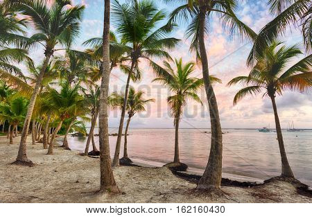 Sunset over Anse Champagne beach in Saint Francois, Guadeloupe, Caribbean