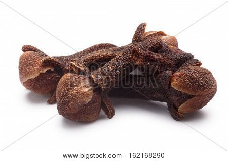 Cloves-buds Of Syzygium Aromaticum, Paths