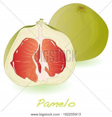 Pomelo or Chinese grapefruit isolated on white
