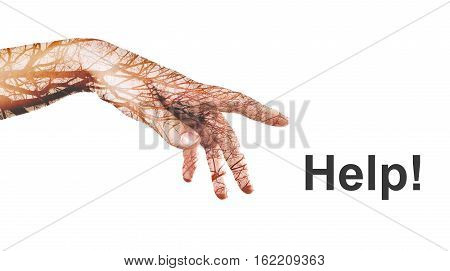 Hand with autumn tree made in the double exposure technique. Digital art. Ecology concept shows that people and nature are interrelated. One affects other.