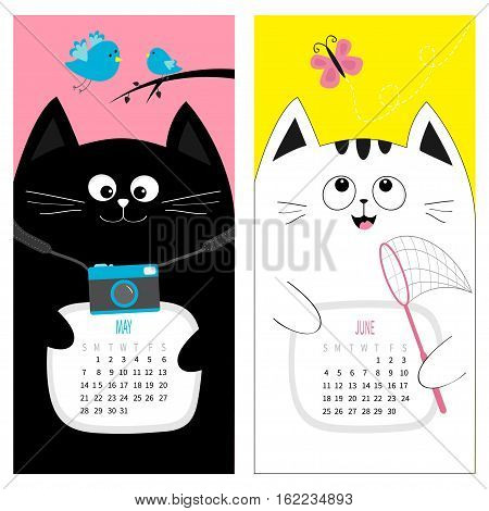 Cat calendar 2017. Cute funny cartoon character set. May June spring summer month. Photo camera bird branch pink butterfly insect net. Dash line track. Flat design. Color background. Vector