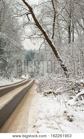 road in the winter forest of snow-covered trees