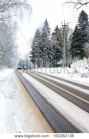 beautiful landscape, winter road among large firs