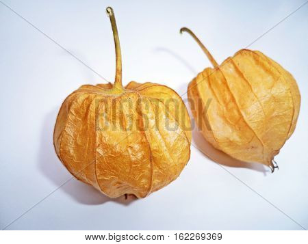 Cape Gooseberry (Physalis peruviana) on white background