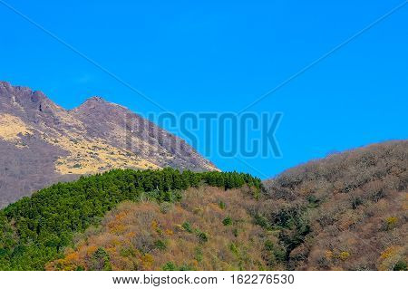 treeless on the mountain with blue sky background