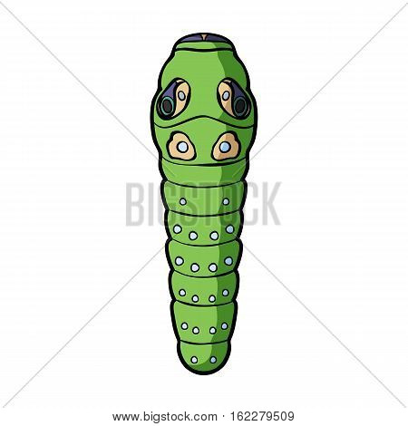 Caterpillar icon in cartoon design isolated on white background. Insects symbol stock vector illustration.