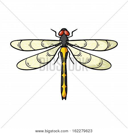 Dragonfly icon in cartoon design isolated on white background. Insects symbol stock vector illustration.
