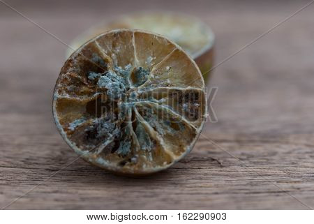 Molded lemon on a wooden background.Molded lemon Macro