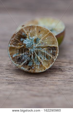 Molded lemon on a wooden background.Molded lemon Macro
