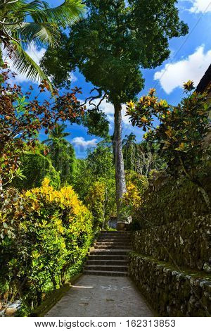 Ganung Kawi Temple in Bali Island Indonesia - travel and architecture background