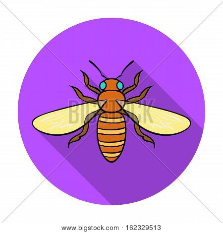 Bee icon in flat design isolated on white background. Insects symbol stock vector illustration.