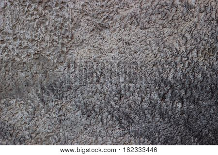 Gray concrete wall of an old 5 storey building