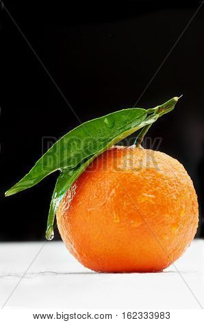 Ripe mandarin with leaf close-up on black and white background. Tangerine orange with leaf on grey background.