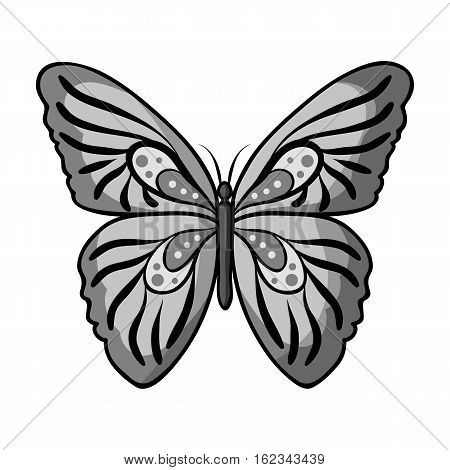 Butterfly icon in monochrome design isolated on white background. Insects symbol stock vector illustration.