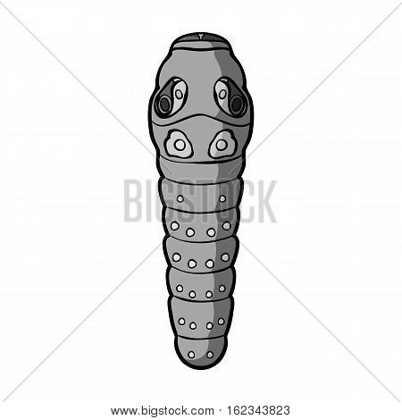Caterpillar icon in monochrome design isolated on white background. Insects symbol stock vector illustration.