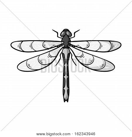 Dragonfly icon in monochrome design isolated on white background. Insects symbol stock vector illustration.