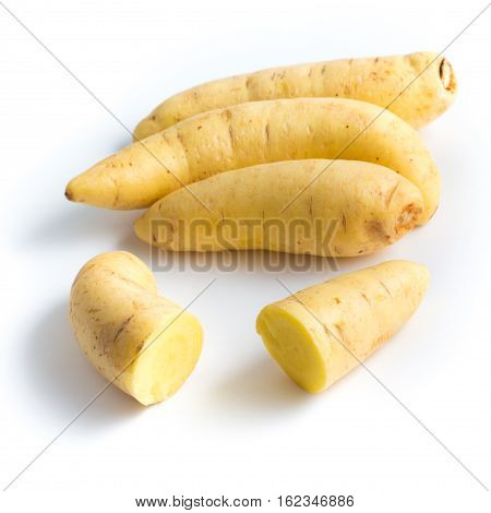 Barred Potato. Baroa isolated on white background