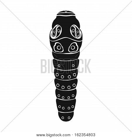Caterpillar icon in black design isolated on white background. Insects symbol stock vector illustration.
