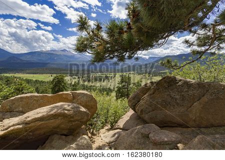 A beautiful valley viewed from under a tree in Rocky Mountain National Park, Colorado.