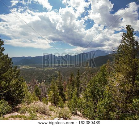 Pine trees pictured with picturesque scenery in Rocky Mountain National Park, Colorado.