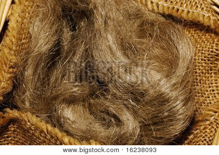 hair