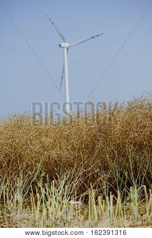 Windturbine At Sunny Day
