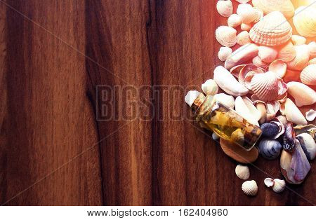 Background with sea cockleshells on a wooden substrate. Effect of a soft sunlight