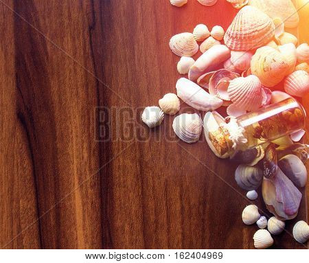 Background with sea cockleshells on a wooden substrate. Effect of a soft sunlight