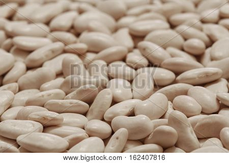 raw and dry white azuki beans photo