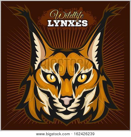 Lynx mascot logo. Head of lynx on dark background vector illustration.