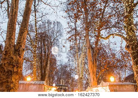 Advent time in the center of Zagreb, Croatia, trees decorated with lights in Park Zrinjevac