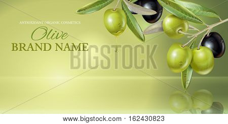 Vector horizontal banner with olive branch on green smooth background with reflection. Design for olive oil, natural cosmetics, health care products. With place for text and your product image
