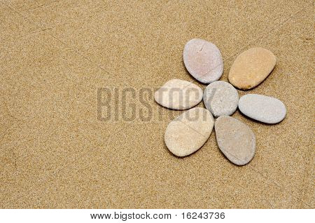 blomst med sten på en sand baggrund