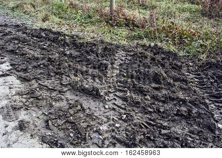 Track tractor tires in the mud on the asphalt.
