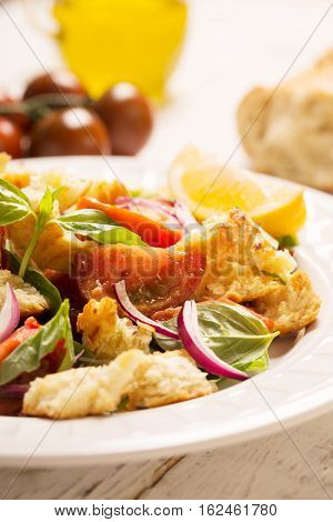 Italian Appetizer salad with tomatoes, bread, bazil mixed with lemon juice.Close up