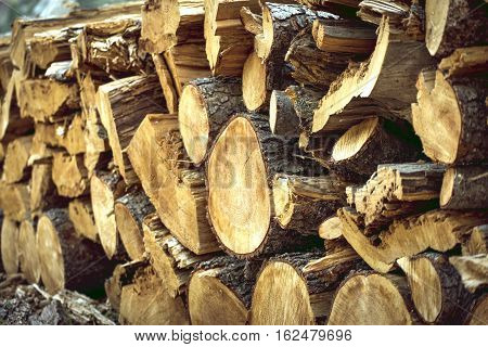 A lot of firewood stacked and ready for use.