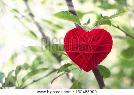 red woolen heart growing on a tree in lights of sun valentines day love