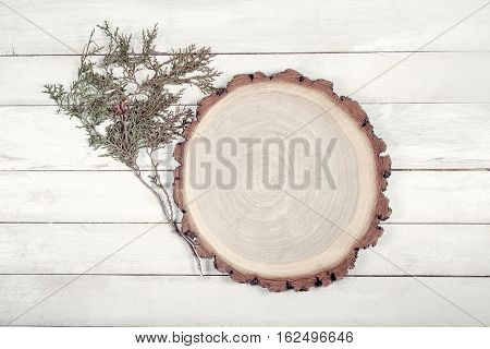 Circle wooden board with leaves of thuja on white wooden table