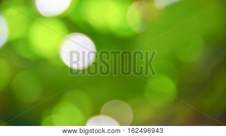 MInt green gradient bokeh effect. bokeh background