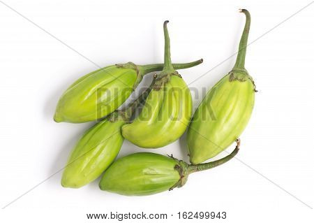Jilo Scarlet. African Eggplant isolated on white background