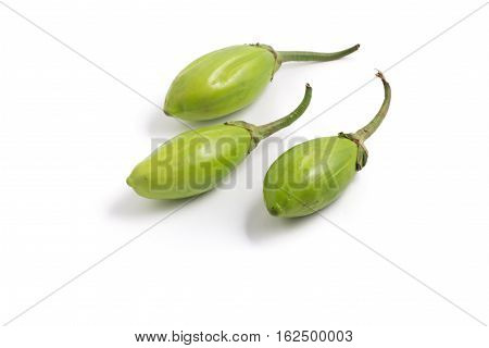 Jilo Scarlet. African Eggplant isolated on white background